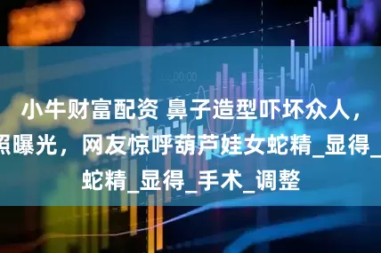 小牛财富配资 鼻子造型吓坏众人，萧亚轩近照曝光，网友惊呼葫芦娃女蛇精_显得_手术_调整